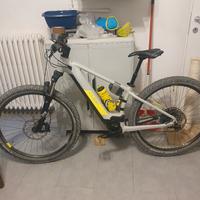 ebike cube reaction pro bosch M ruote 29