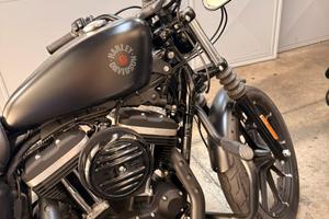 HARLEY DAVIDSON 883 Iron XL