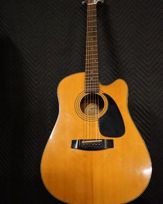 Chitarra acustica vintage SAMICK Amplificata