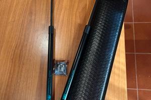 Pistoni automatici  per bagagliaio ford focus Mk3