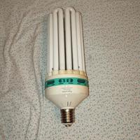 Lampada Agrolite 200W Indoor