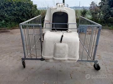 Box, recinto doppio per vitelli