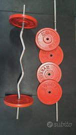 Bilancieri e dischi in ghisa 10kg