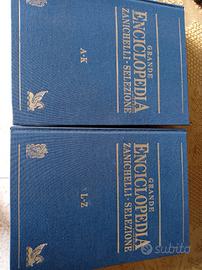 Grande enciclopedia Zanichelli Selezione