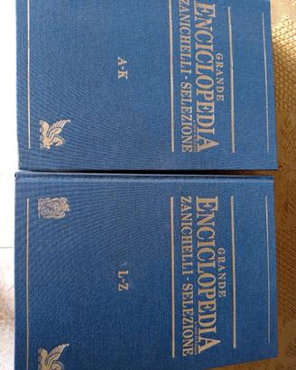 Grande enciclopedia Zanichelli Selezione