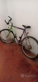 Mtb Trek