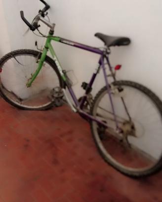 Mtb Trek