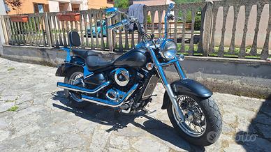 Kawasaki VN800 Classic 