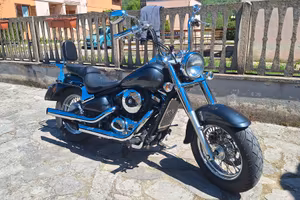 Kawasaki VN800 Classic 