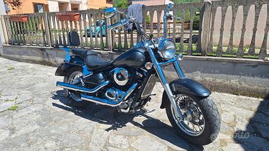 Kawasaki VN800 Classic 