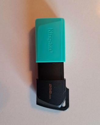 PenDriver Kingston DataTraveler Exodia 256 GB 