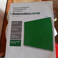 libro scolastico - matematica:verde 