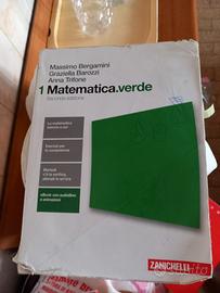 libro scolastico - matematica:verde 