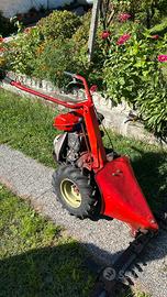 Falciatrice aebi am1