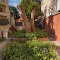 Viale Merello bilivelli con giardino