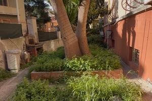 Viale Merello bilivelli con giardino