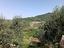 Immagine 14