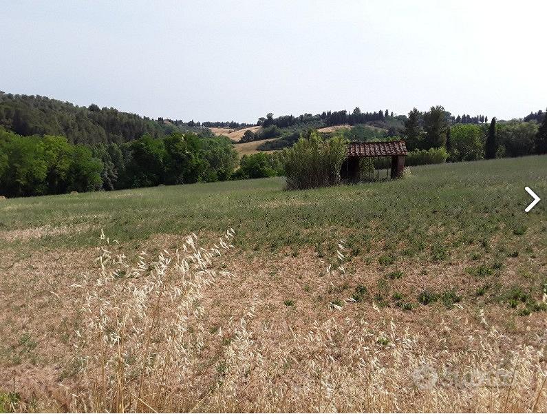 Pisa - Terreno agricolo seminativo 2,3 ettari - Vista 2