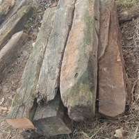 Travi in legno di castagno