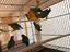 Immagine 6