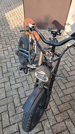 Bici elettrica 2 batterie freni idraulici