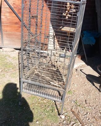 gabbia per pappagalli