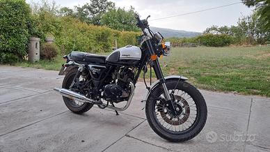 Mash Seventy Five 125 - 2017