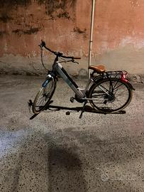 Bici pedalata assistita