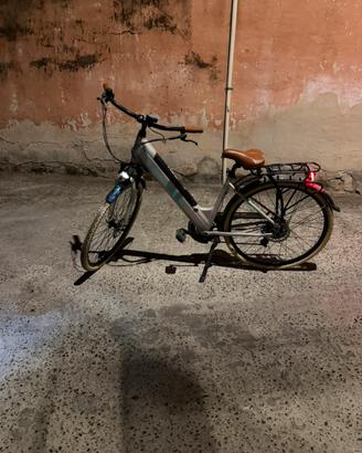 Bici pedalata assistita