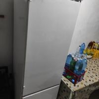 frigo candy