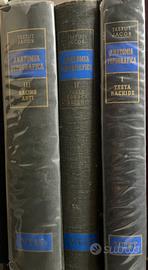 Anatomia patologica Testut Jacob