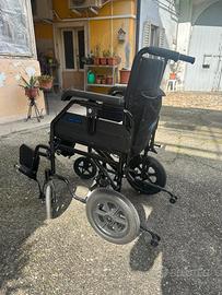 Sedia a rotelle