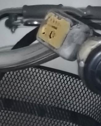 BOTTECCHIA pedalata assistita....