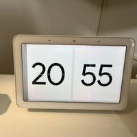 Google home nest hub e mini