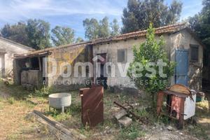 Rustico / Casale di 125 m² con 3 locali a Capalbio