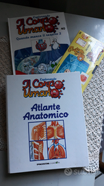 Enciclopedia de Il Corpo Umano