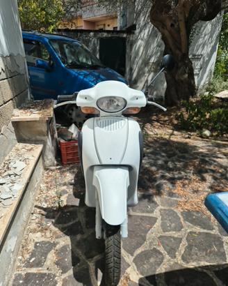 Scarabeo 100cc 