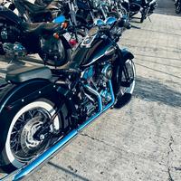 Harley Davidson heritage springer