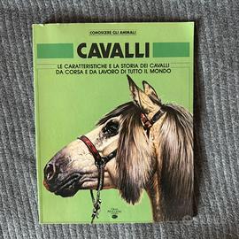 Cavalli - conoscere gli animali