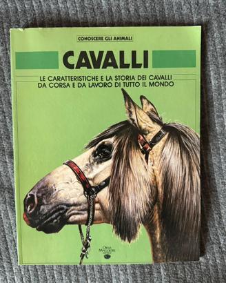 Cavalli - conoscere gli animali