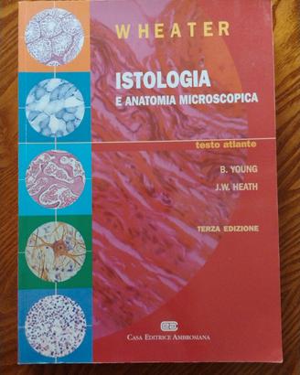 Wheater istologia e anatomia microscopica 