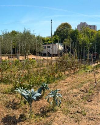Appezzamento di terreno agricolo attrezzato con ro