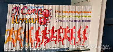 esplorando il corpo unano