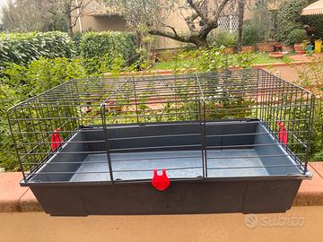 Gabbia porcellino d’india o coniglio