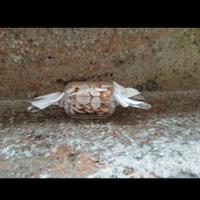 Occhi di Santa lucia