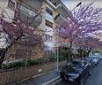 monolocale-a-roma
