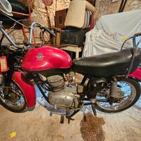 MV Agusta modello disco volante - 1954