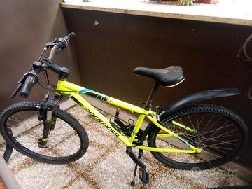 bicicletta 24