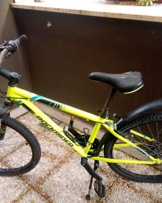 bicicletta 24