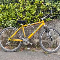 MTB - Mountainbike Bianchi